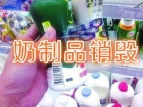 閔行食品銷毀公司 專業處理牛奶及飲料添加劑，助力上海餐飲管理升級